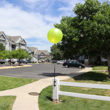 Premium Single Balloon Kit - Fence Mount