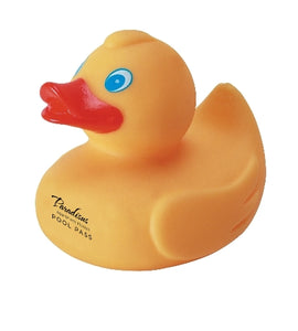 Rubber Duck - Apartment Promotion